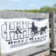 WATCH: WBIR Profiles Hoof and Harness