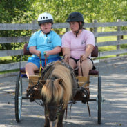 Why Therapeutic Carriage Driving?